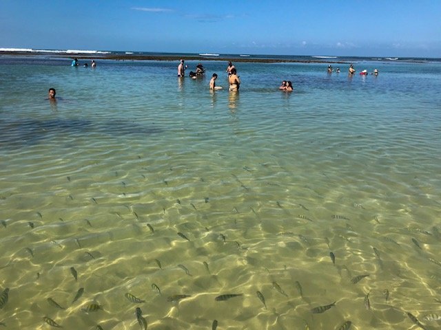 pessoas-curtindo-as-piscinas-da-quarta-praia