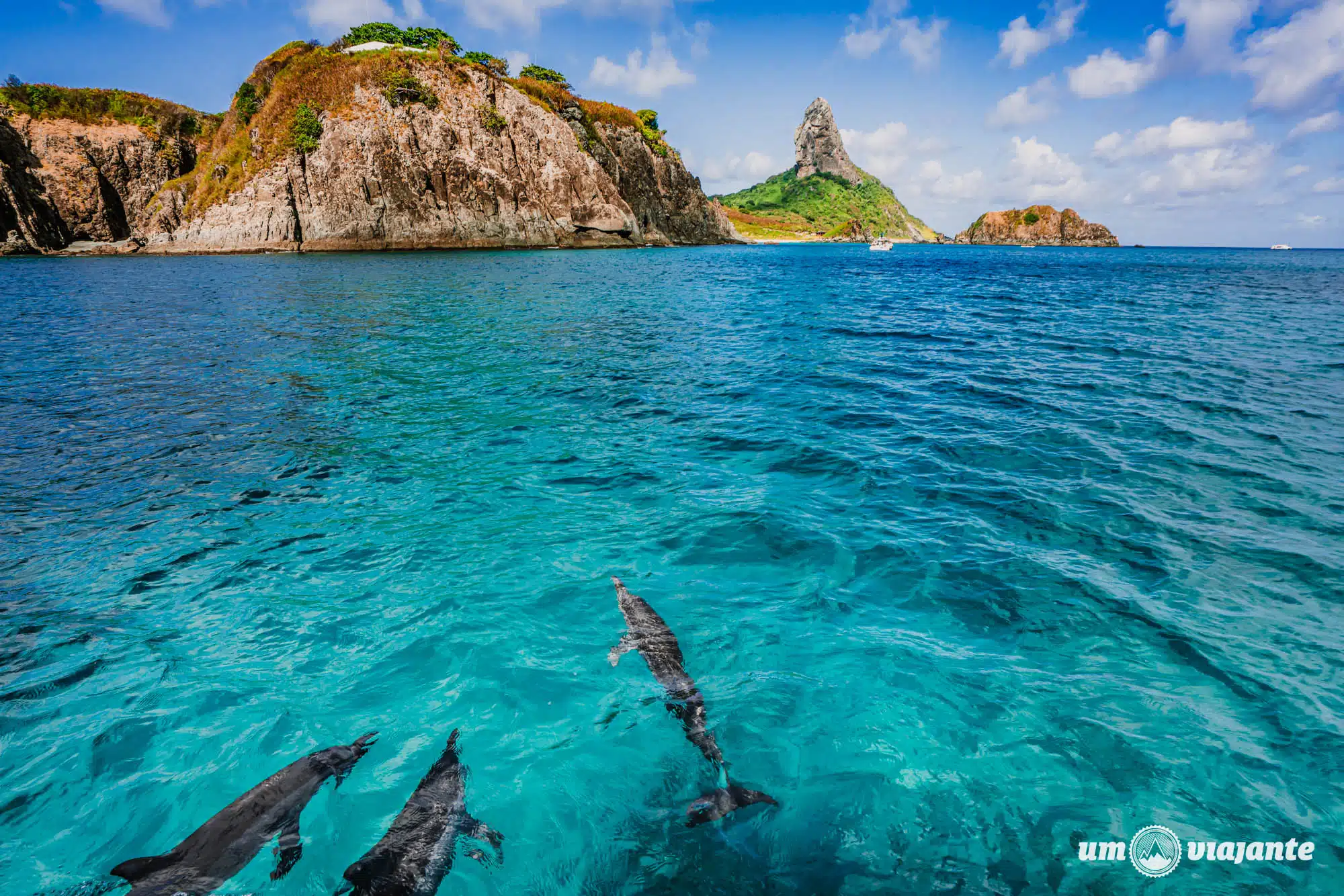 passeio-barco-fernando-de-noronha